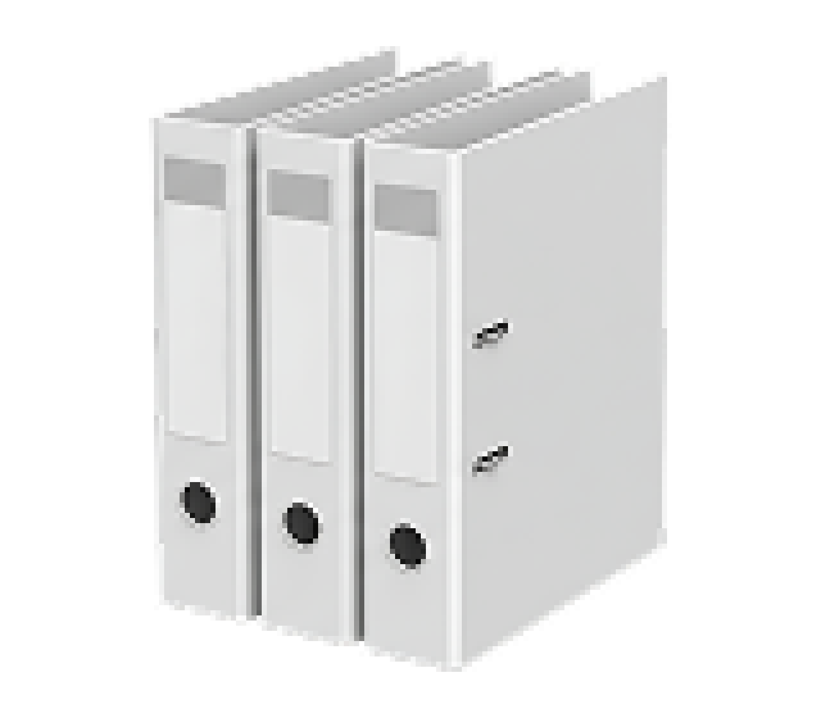 Audit, Documentation and Project Support